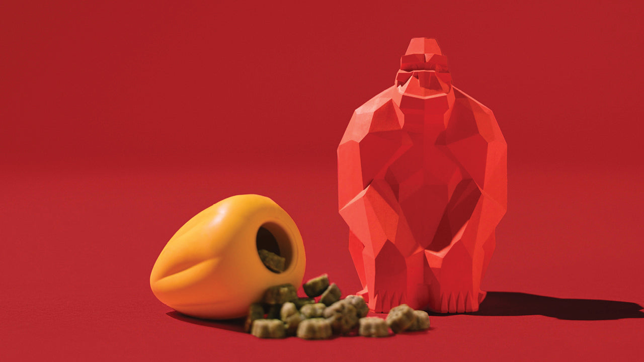 Dog toys with treats