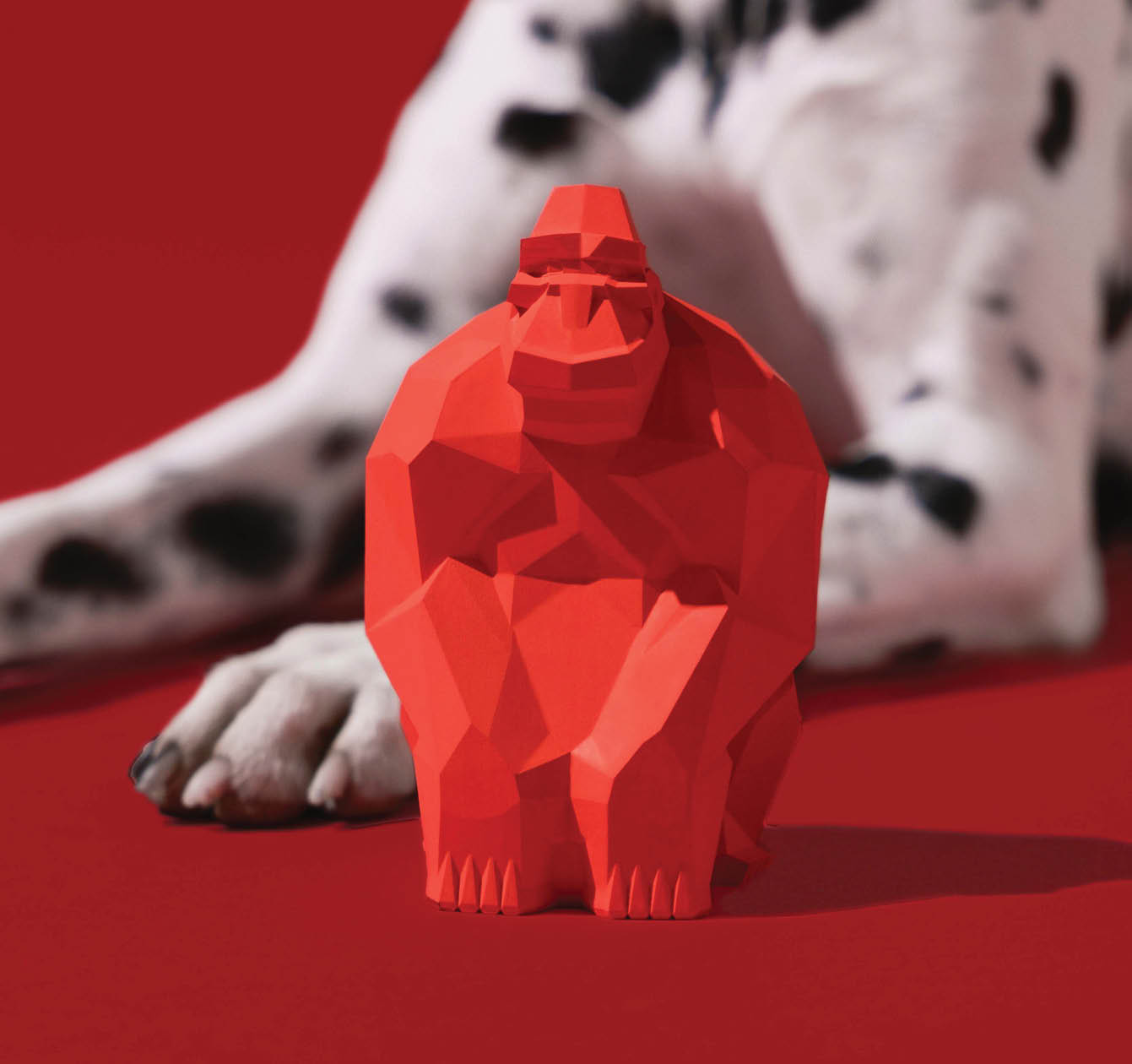Dog toy with dog in the background